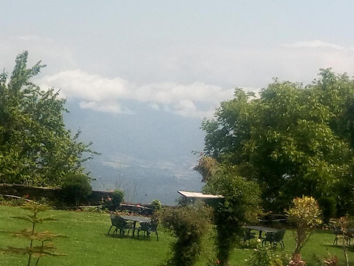 Vamoose Eco Lodge Chevron Kausani Ngoại thất bức ảnh