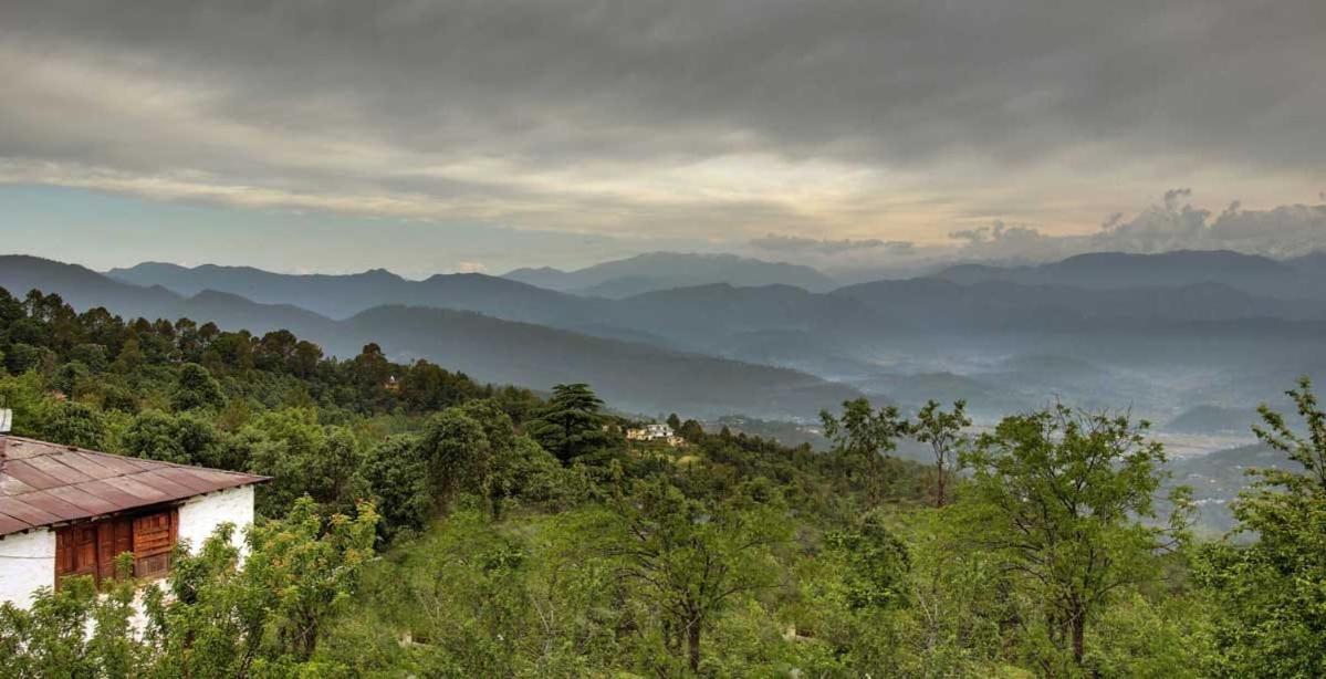 Vamoose Eco Lodge Chevron Kausani Ngoại thất bức ảnh